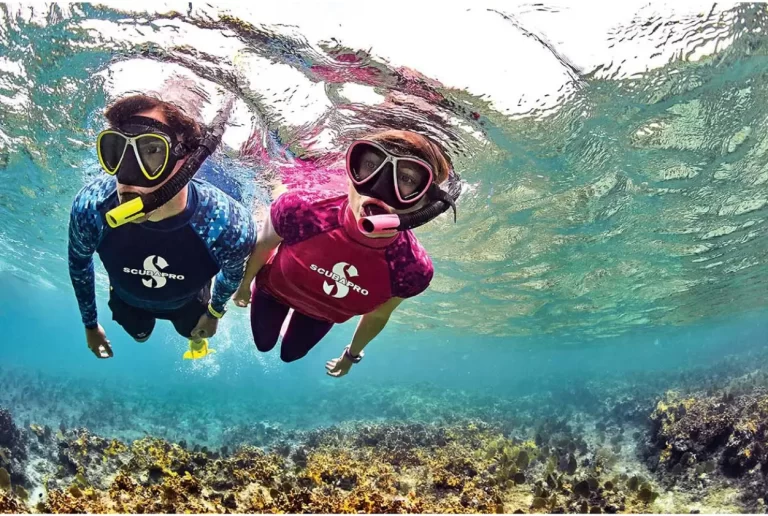 How To Choose The Best Snorkeling Accessories?