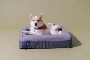 Best Quality Designer Dog Beds